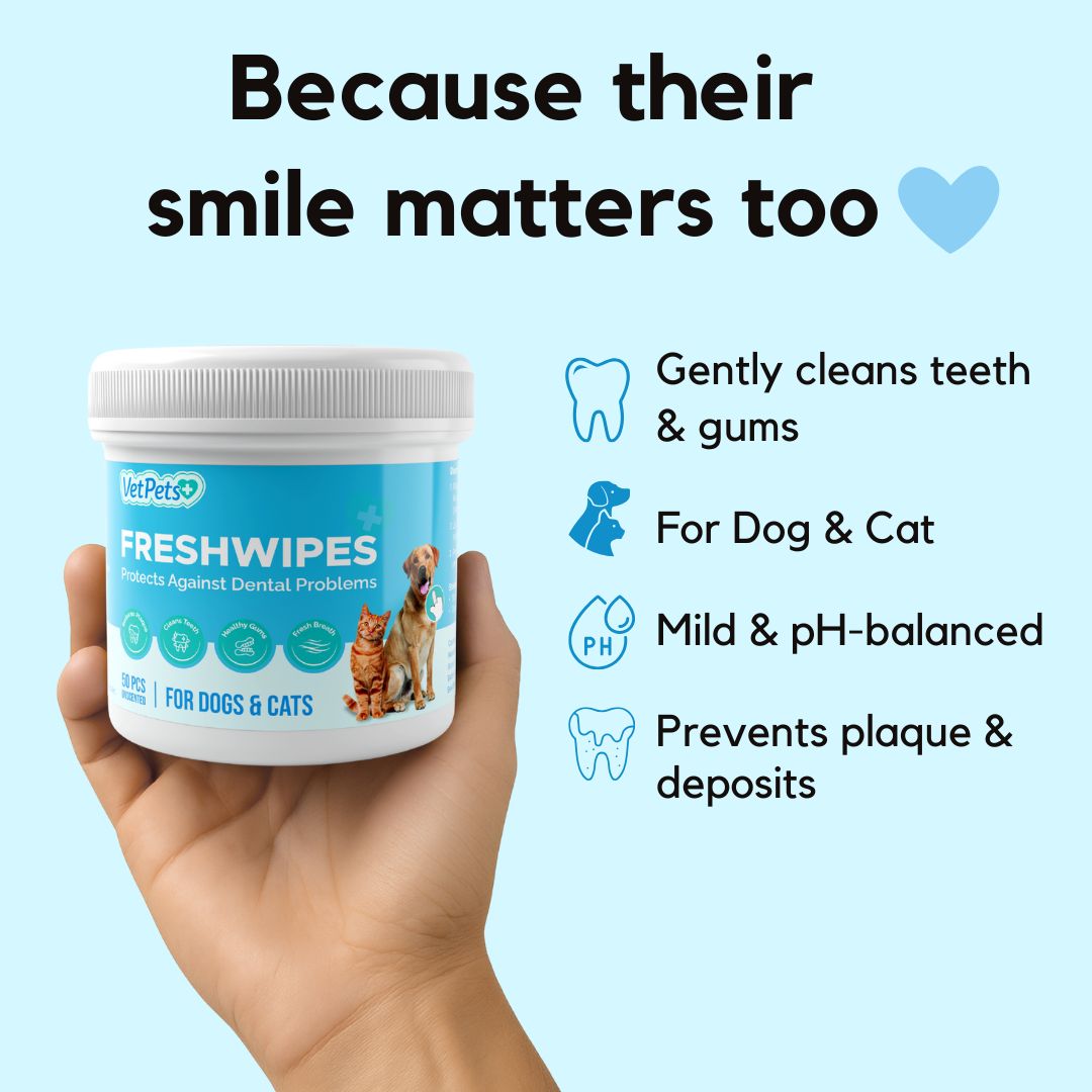 FreshWipes Kit – Protects Against Dental Diseases