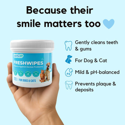 FreshWipes Kit – Protects Against Dental Diseases