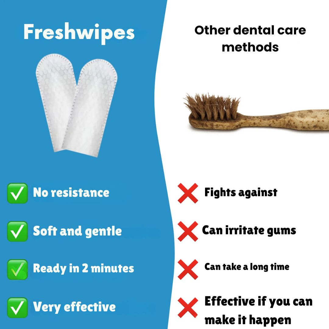 FreshWipes Kit – Protects Against Dental Diseases