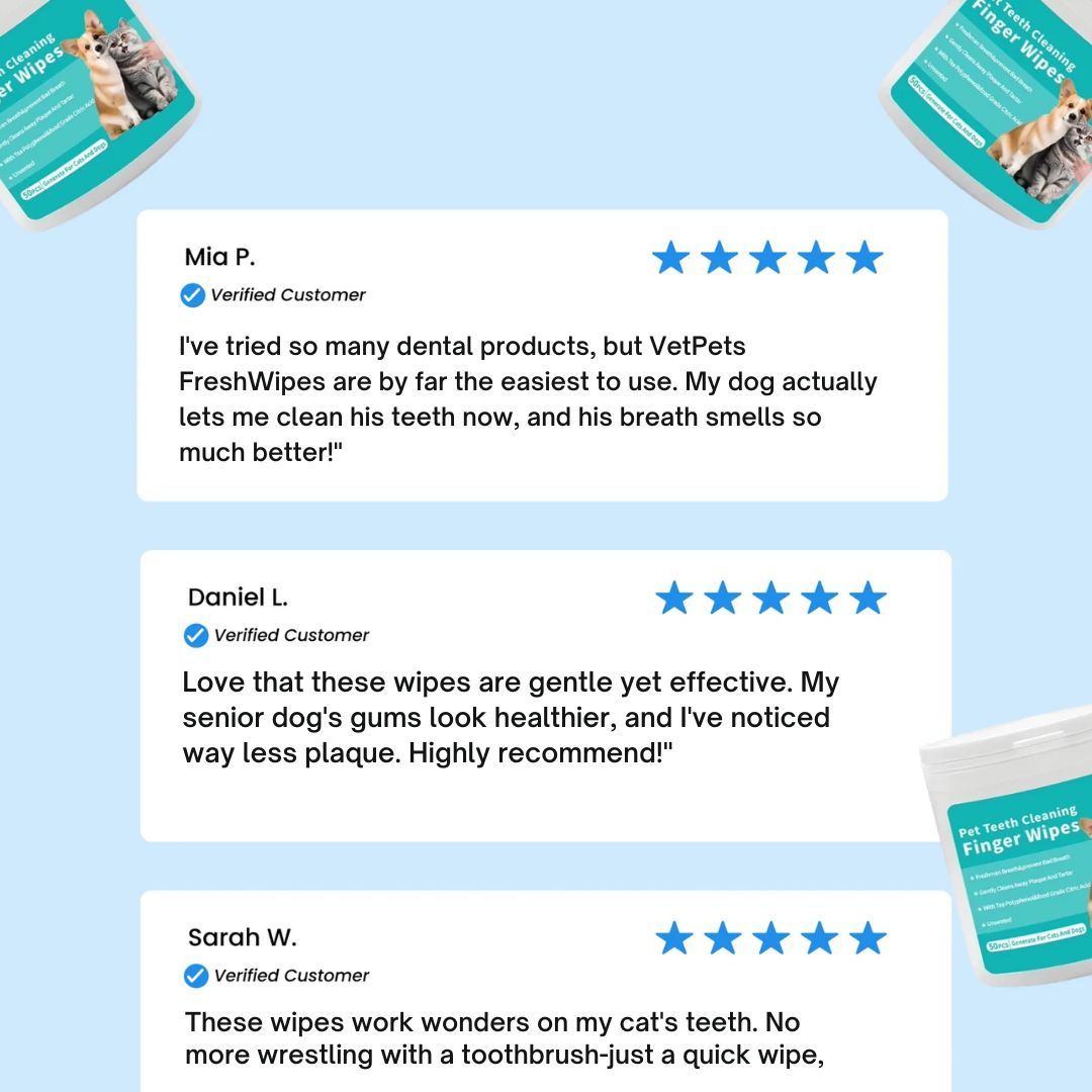 FreshWipes Kit – Protects Against Dental Diseases