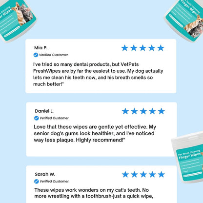 FreshWipes Kit – Protects Against Dental Diseases