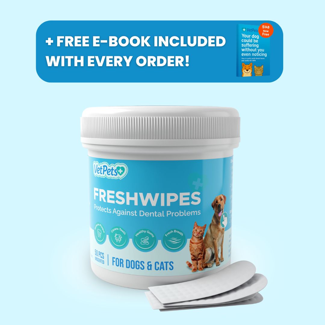 FreshWipes Kit – Protects Against Dental Diseases